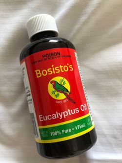 Eucalyptus oil bottled